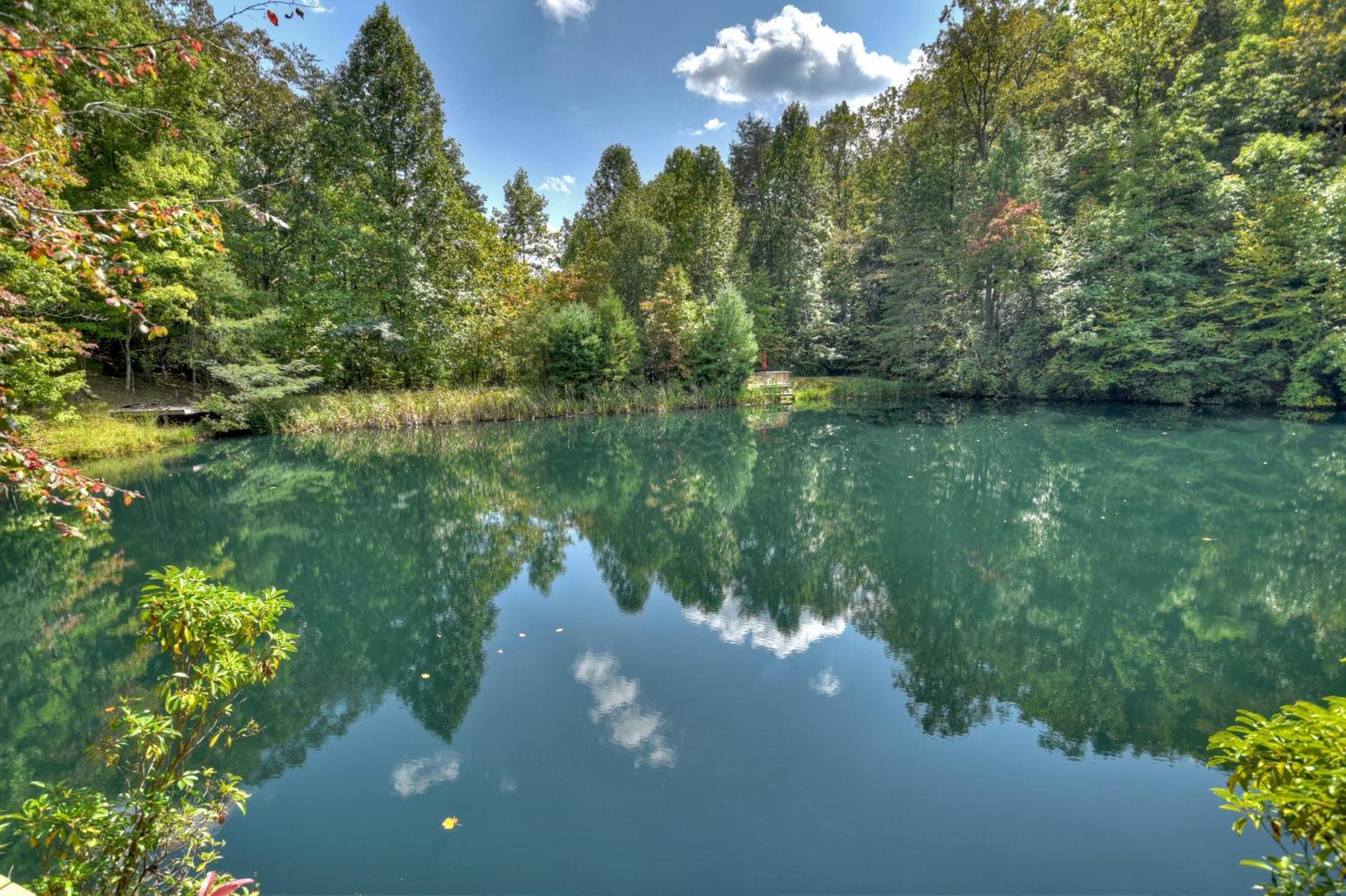 Waywish Waterfront Cabin In Blue Ridge Mountains 외부 사진